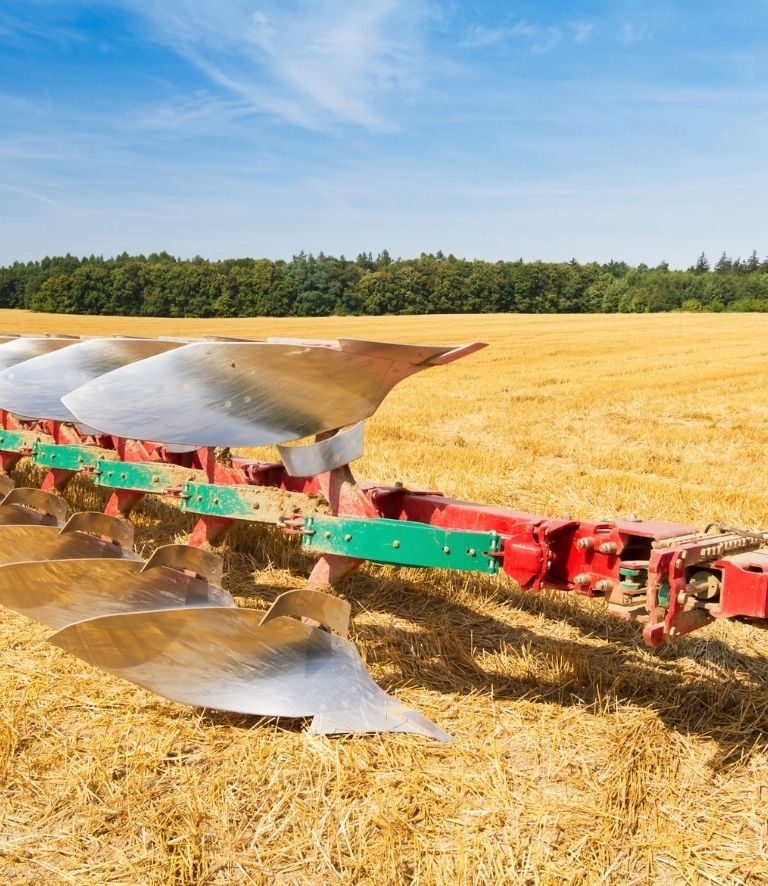 Champs de blé d'une agriculture en France.